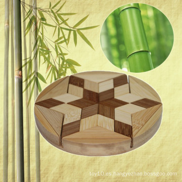 Niños Educación IQ Bamboo Puzzle